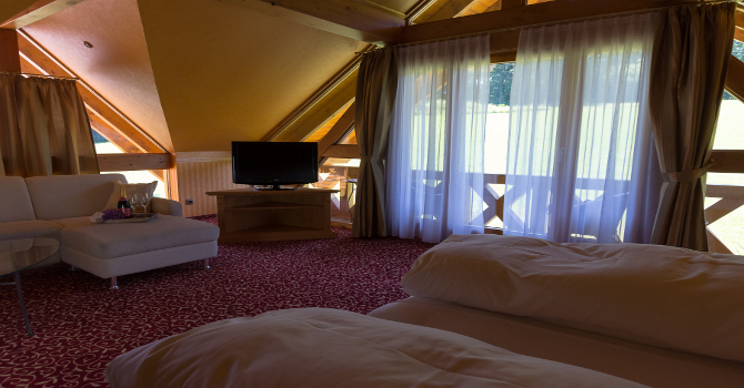 Landhaus Talblick Thüringen - Wohlfühlzimmer Studio